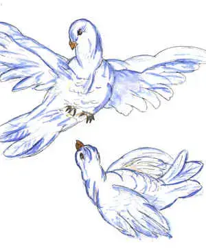 DOVES