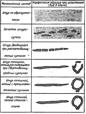 img5.jpg (53913 bytes)