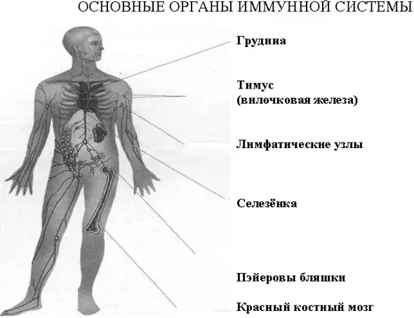 img1.gif (20018 bytes)