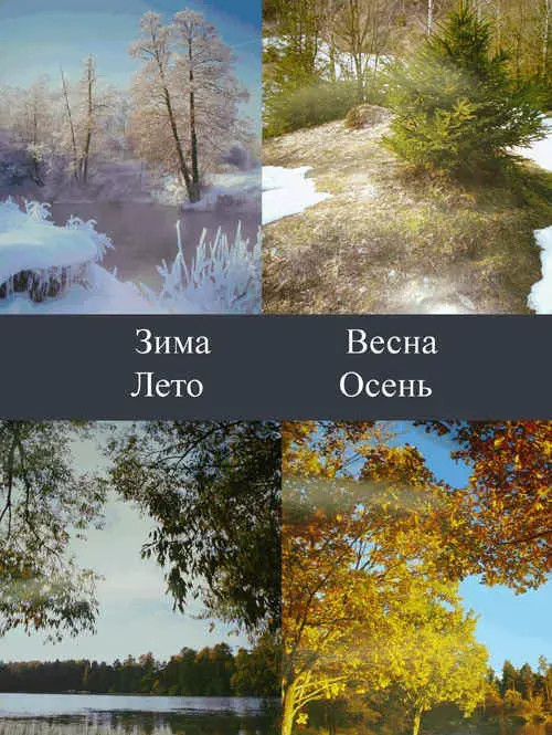 img5.jpg (55371 bytes)