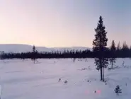 img5.jpg (8359 bytes)