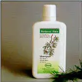 img11.jpg (38272 bytes)