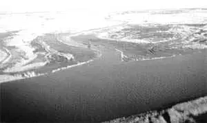 img1.jpg (6051 bytes)