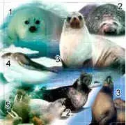 img4.jpg (6744 bytes)