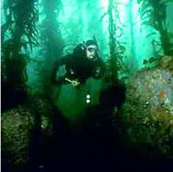 img7.jpg (9034 bytes)