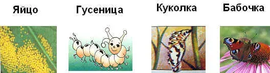 wpe6.jpg (14919 bytes)