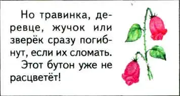 img6.JPG (9946 bytes)