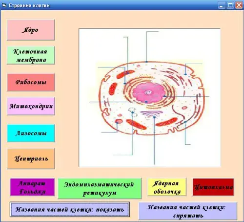 рис.9