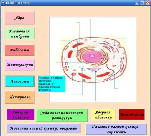 рис.10