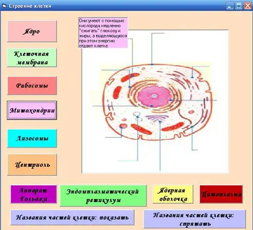 рис.11