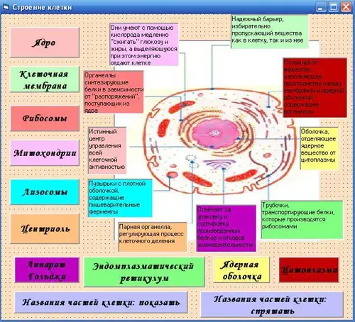 рис.12