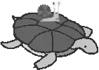 Черепаха