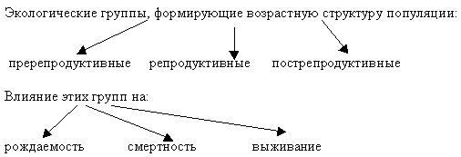 Состав и структура сообщества биология 9 класс презентация