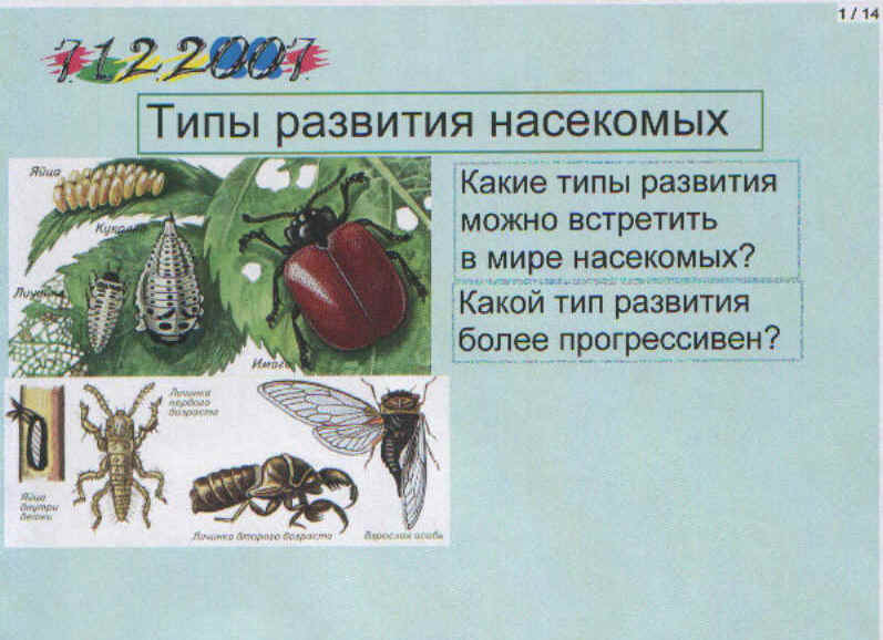 Дети изображали насекомых отметь сколько ног они должны нарисовать каждому насекомому ответ