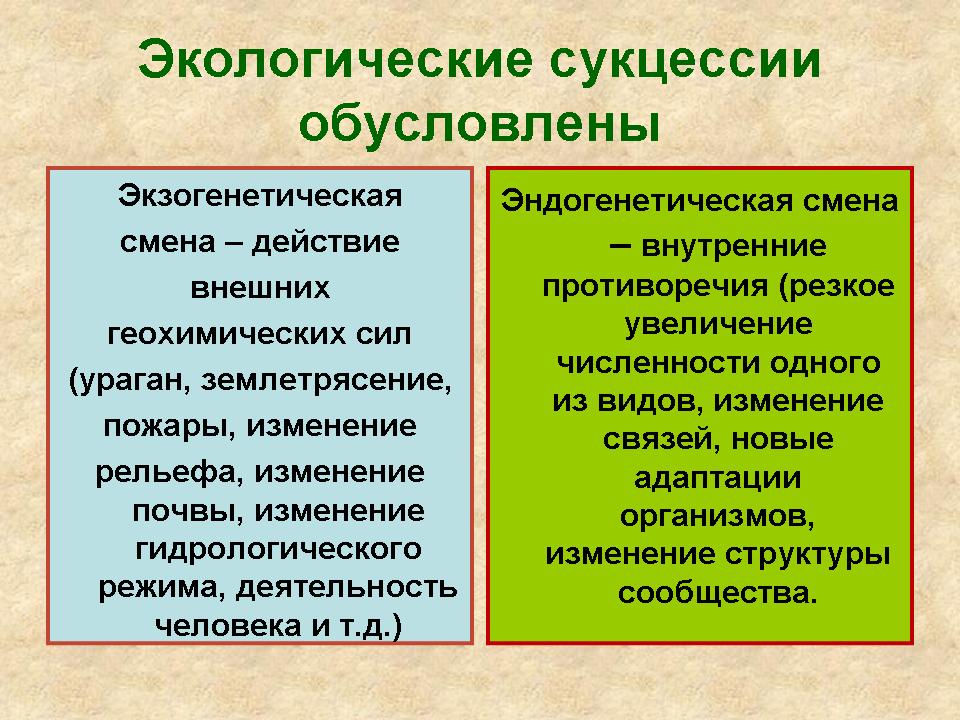 Саморазвитие экосистемы экологическая сукцессия презентация 9 класс