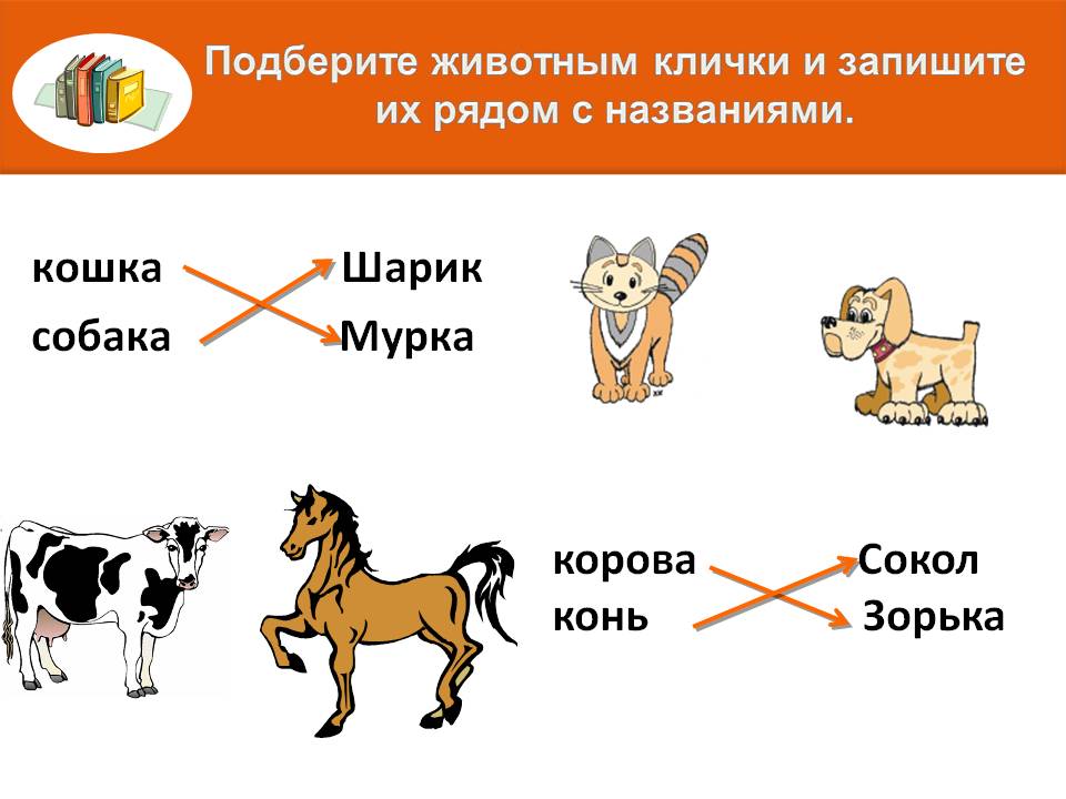 Заглавная буква в именах фамилиях отчествах кличках животных названиях городов 1 класс презентация