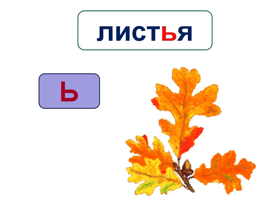 Презентация твердый знак