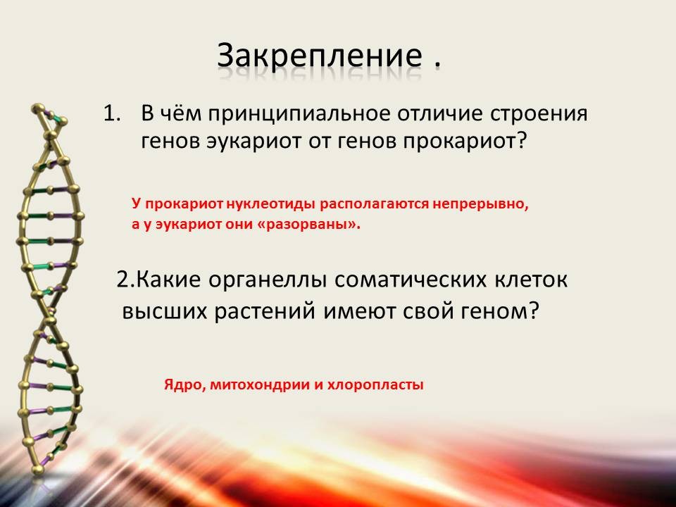 Картирование хромосом презентация 10 класс