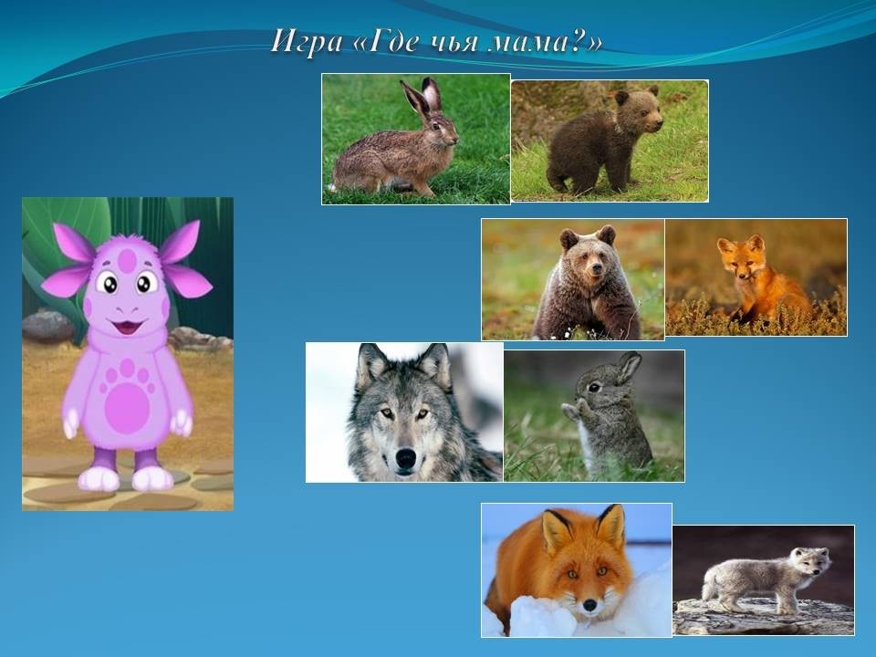 Дикие животные средней полосы россии фото
